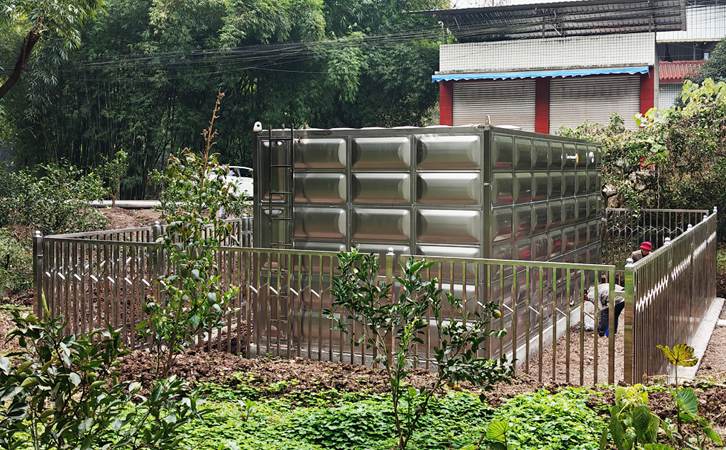 1769491681888230.jpg 303.jpg